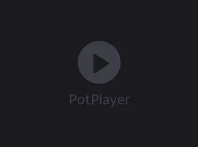 PotPlayer 播放器 v1.7.22396 绿色版 banner