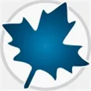 Maple 2020【数学建模软件】
