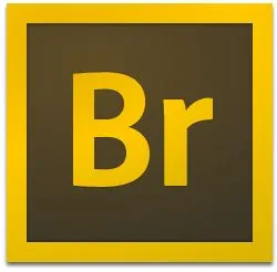 Adobe Bridge 2021 SP【直装】