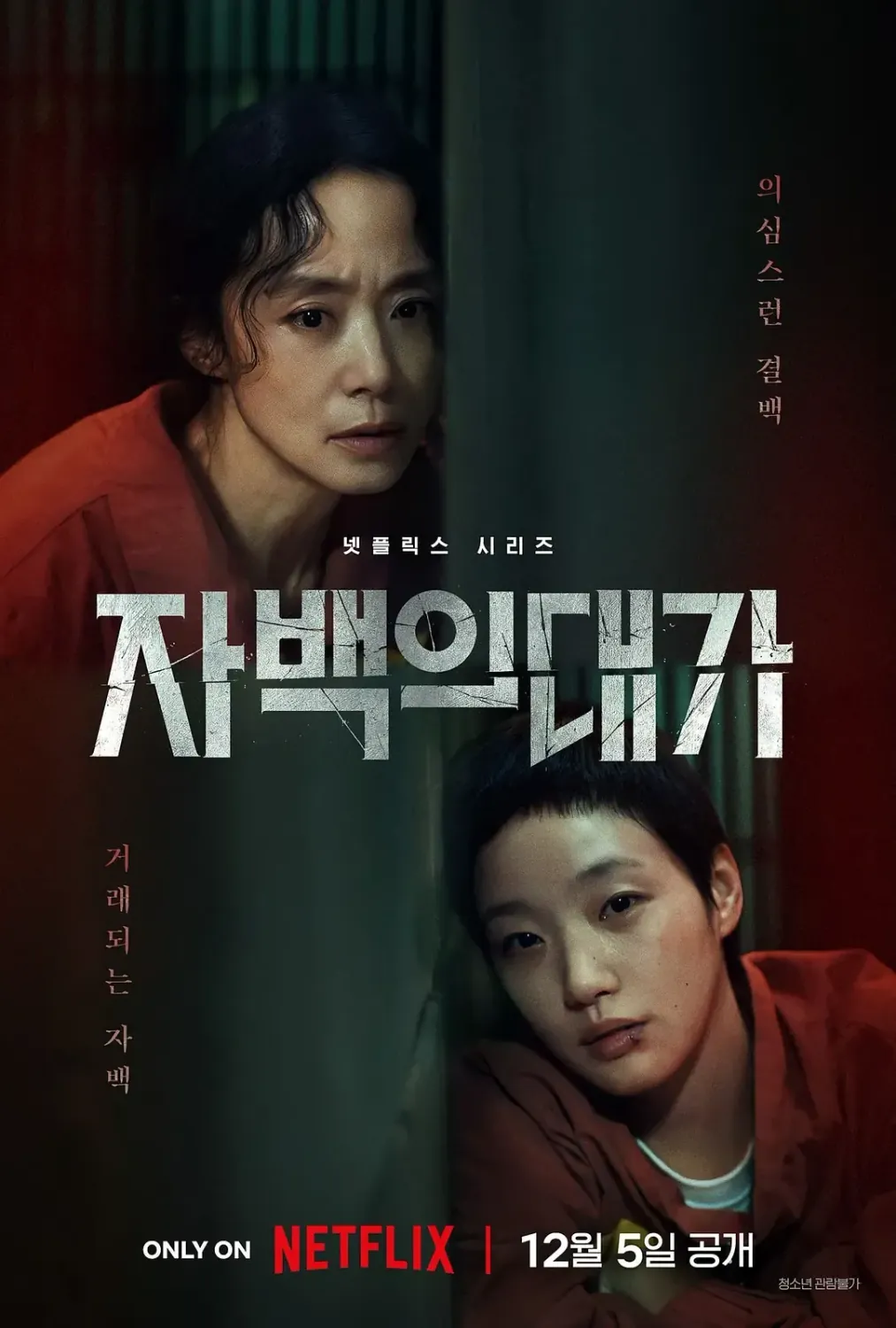 认罪之罪 (2025) 韩剧 1080P高清资源下载
